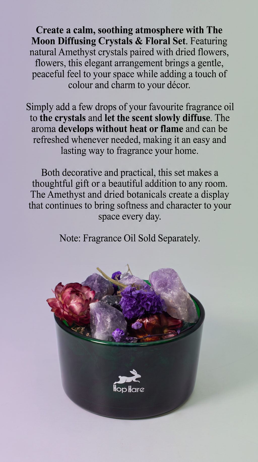 Diffuser Amethyst Crystals & Dried Botanical Floral Aromatherapy Elegant Decor