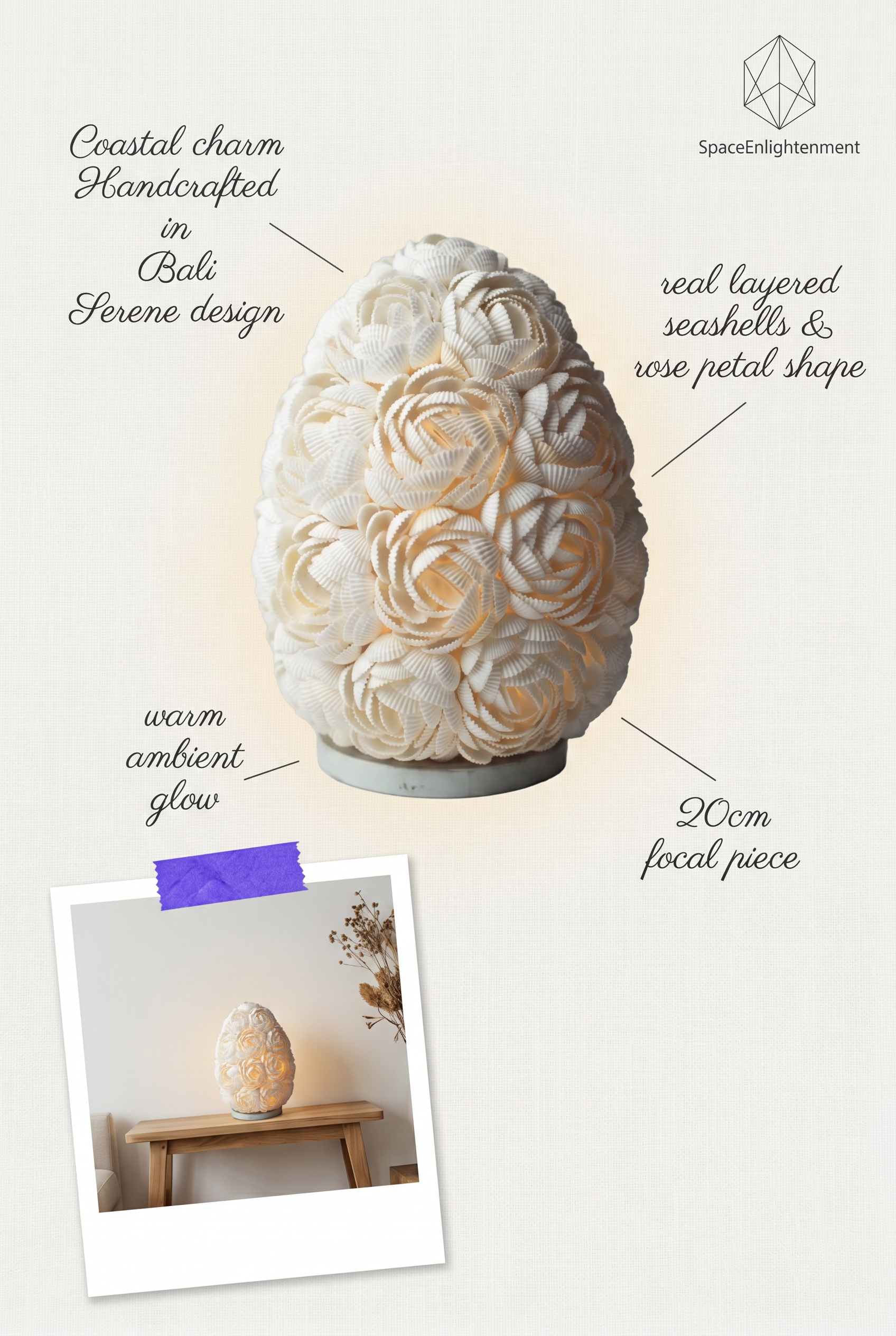 Boho Sea Shell Lamp - Rose Oval - 15cm