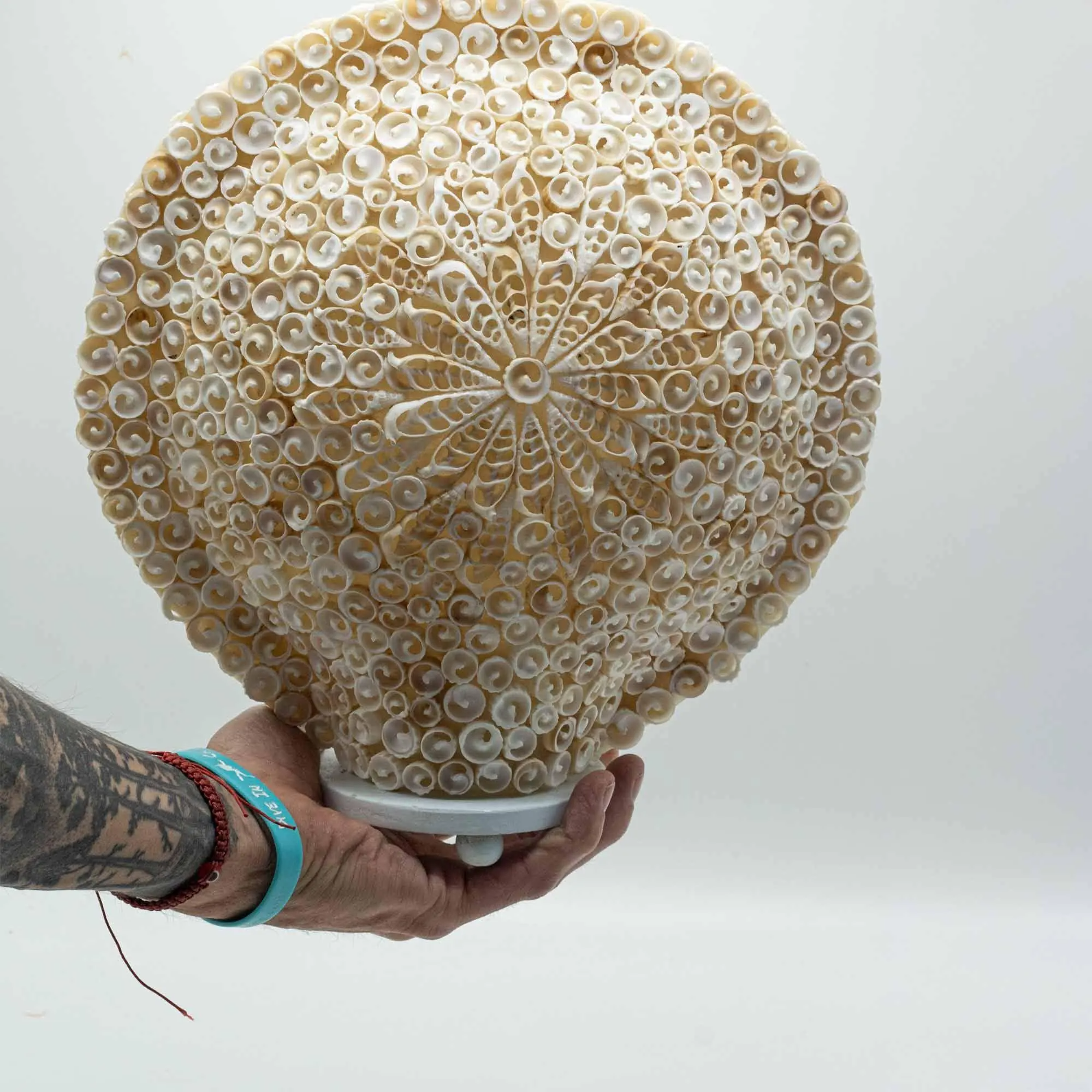 Boho Sea Shell Lamp, Large Round Cut Art Design, Coastal Beach Decor, Ambient Lighting