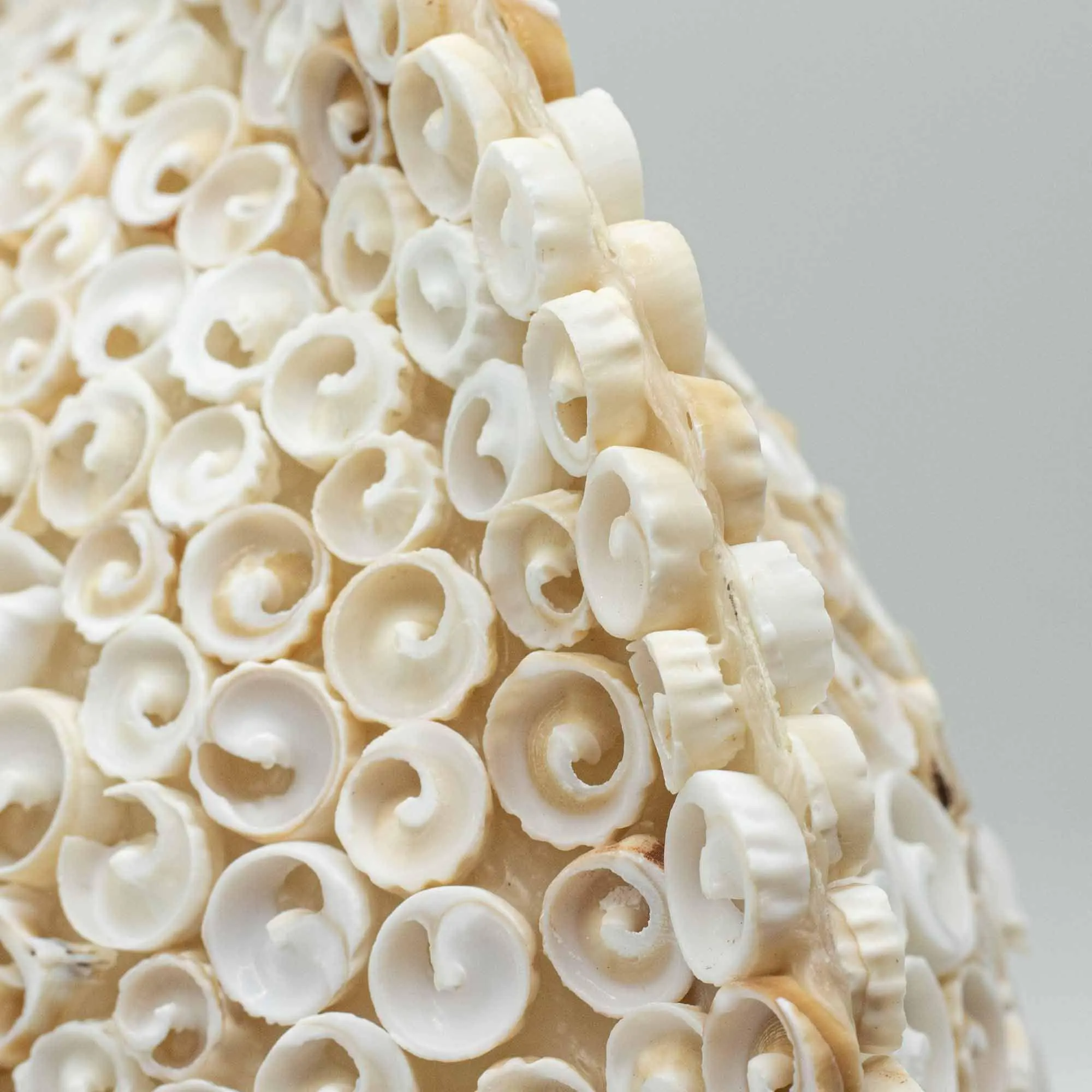 Boho Sea Shell Lamp, Large Round Cut Art Design, Coastal Beach Decor, Ambient Lighting