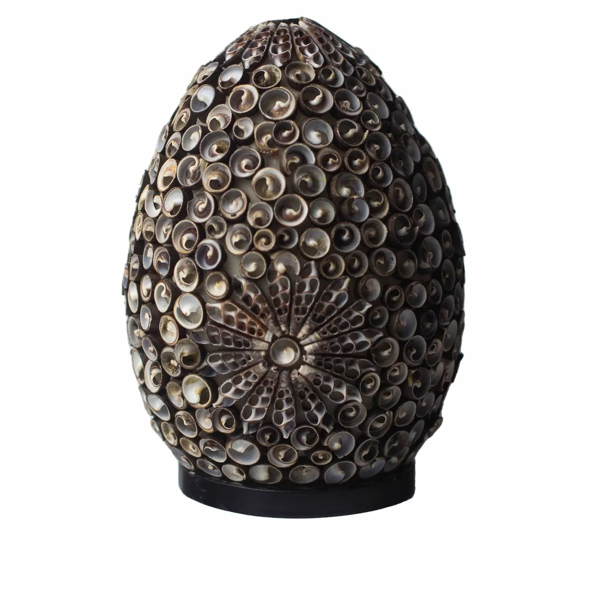 Boho Sea Shell Lamp Chocolate Twist Oval