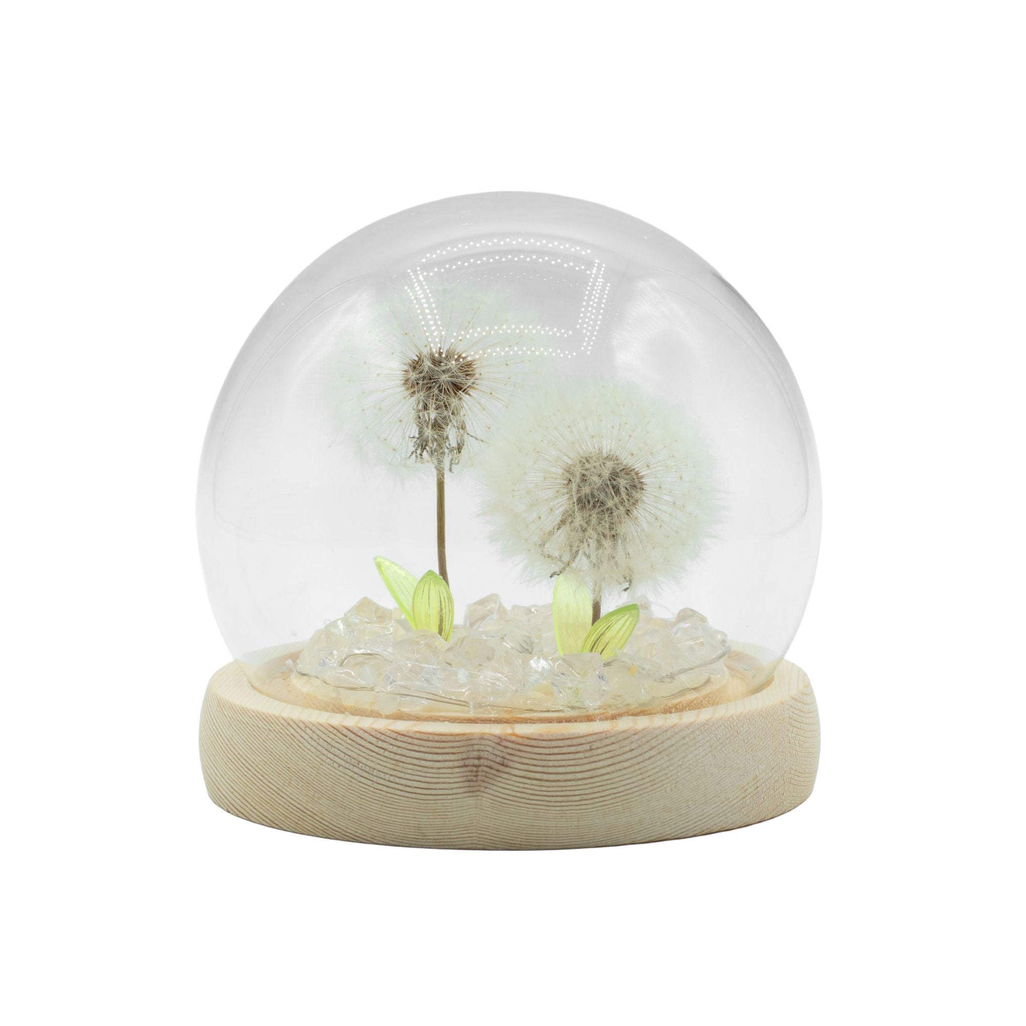 Delicate Dandelion LED USB Light Dome with Wooden Base, Soft Glow Accent for Minimalist Home and Wellbeing Spaces