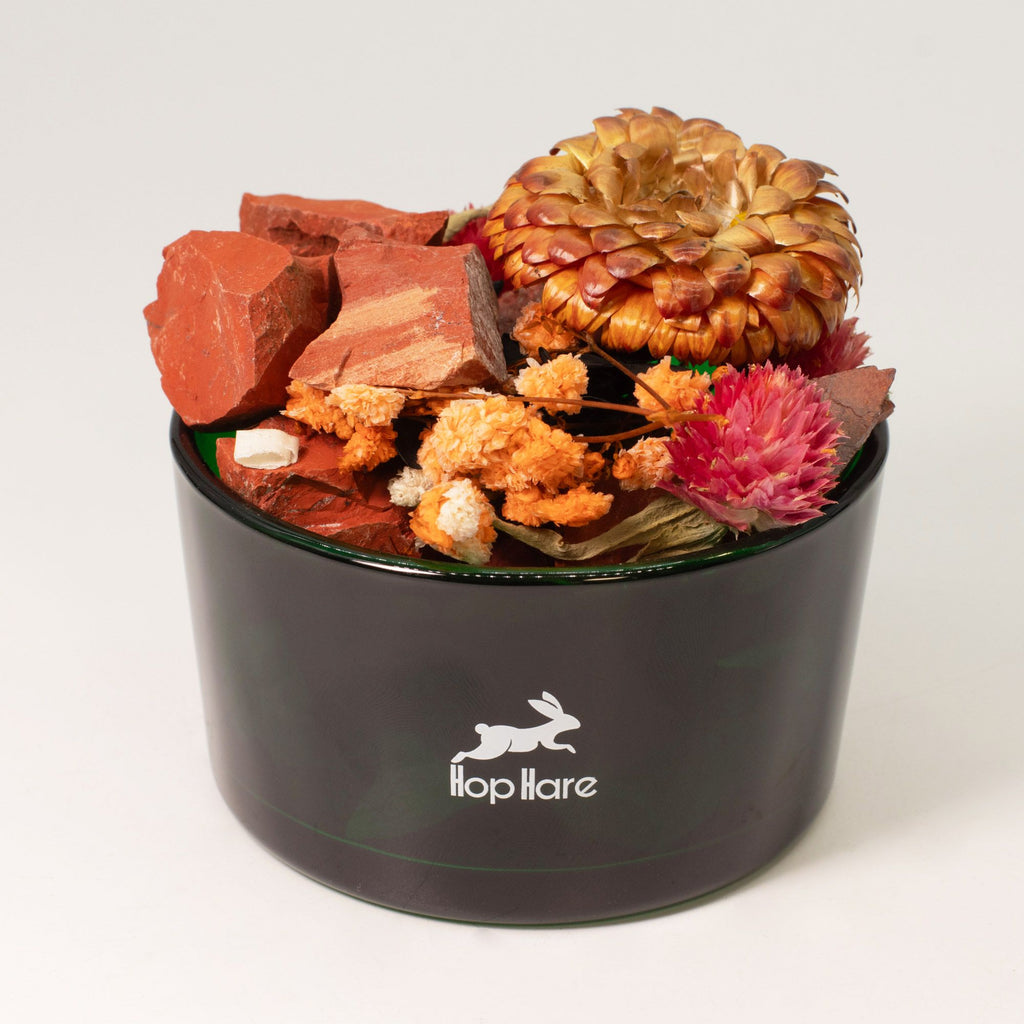 Diffuser Crystals & Floral Set Red Jasper Crystals with Dried Flowers