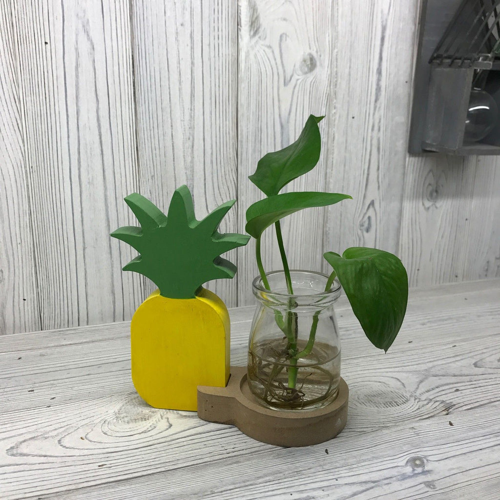 Hydroponic Pineapple Pot Home Décor