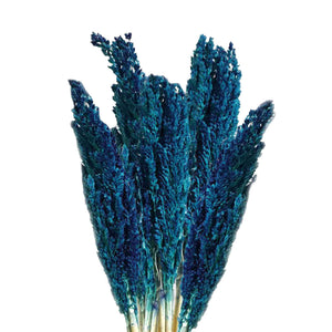 Cantal Dried Grass Flowers Display Decor 6 Bunch Blue Colour