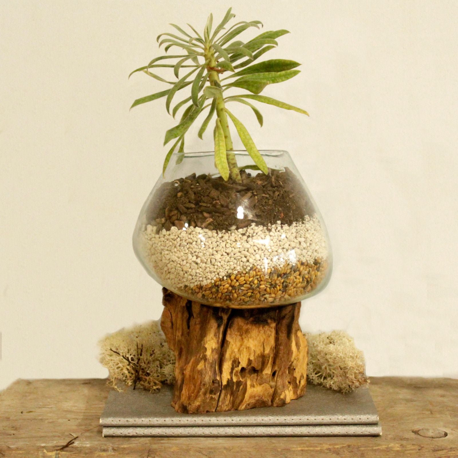 Molten Glass on Wood - Large Bowl - Ornament